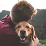 Pet Loss Coach Training Online Build Compassionate Skills to Guide Grieving Pet Owners