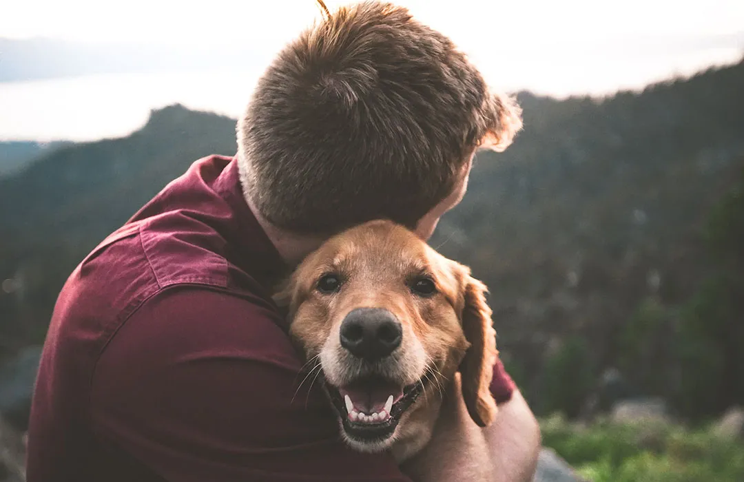 Pet Loss Coach Training Online Build Compassionate Skills to Guide Grieving Pet Owners